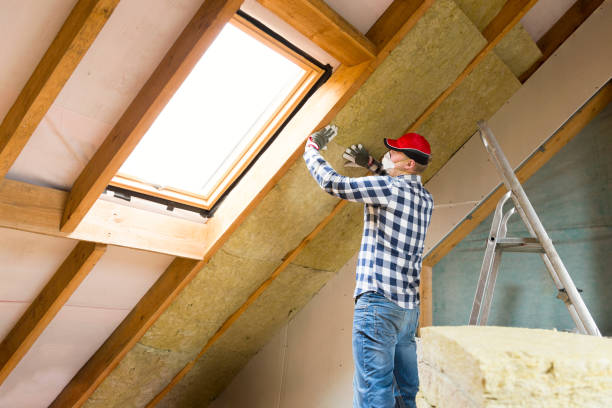 Best Attic Insulation Installation  in Cairo, NE